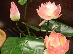 -老牌坊鲁菜名店(美莲广场店)