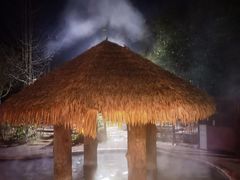 -中铁花水湾温泉酒店(大邑店)