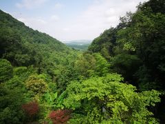 -韬光茶庵