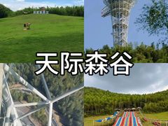 -莫干山风景区