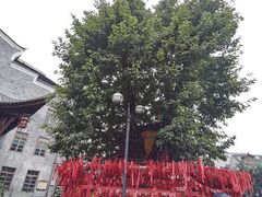 -两江国际影视城