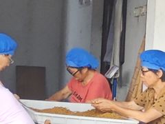 -苏州市吴中区光福窑上花果蜜饯厂