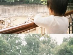 -太子山公园(园东路)