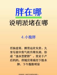 -Fundi张玉珊修身堂·indiba·BTL科技瘦身