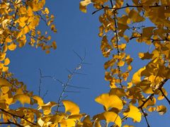 -森林公园(尖草坪区)