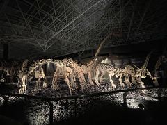 -世界恐龙谷景区