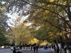 -辽宁大学(崇山校区)