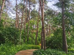 -黑龙江省森林植物园