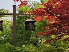 -苏州太湖国家湿地公园