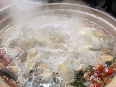 -威邵鸡煲(西华路总店)