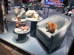 -MIU MIU(上海商城店)