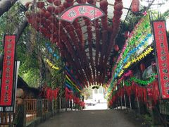 -观澜山水田园