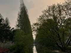 -上海交通大学(闵行校区)