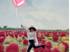 -映月湖中央公园