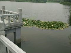 android_upload_pic-江南大学(蠡湖校区)