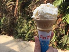 -怀托摩萤火虫洞