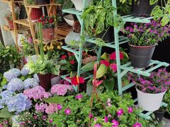 -FEI FEI FLOWER鲜花店·气球派对·宝宝宴布置(虹口德必运动Loft店)