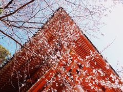 -醍醐寺