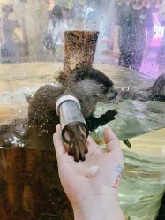 -Zoolung Zoolung动物主题公园(海信广场店)