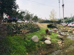 -雅和生态渔庄·宜城锅巴饭(龙灵山公园店)