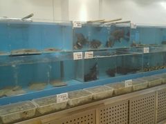 大堂-六顺园清真回族饭店(工程街店)