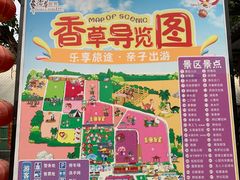 -广东花都香草世界旅游度假区