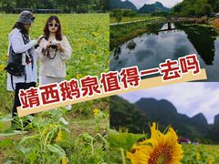 -靖西鹅泉风景区