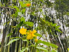-成都杜甫草堂博物馆