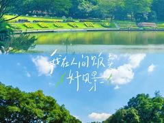 -东莞植物园