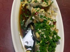 清蒸白鱼-宾湖农庄·农场特色(太湖龙之梦店)