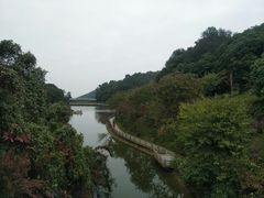 -广州市帽峰山景区