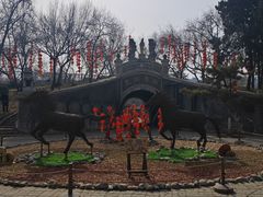-保定市动物园