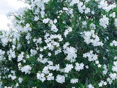 -上海滴水湖皇冠假日酒店