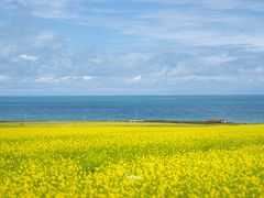 -青海湖国家重点风景名胜区