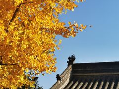 -蔡文姬纪念馆
