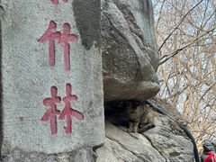 -终南山南五台景区