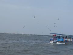 -卧龙湖