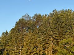 -天芳悦潭度假村温泉