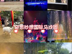 -灵玲国际马戏城