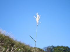 -萍乡武功山风景名胜区