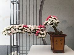 -上海方塔园