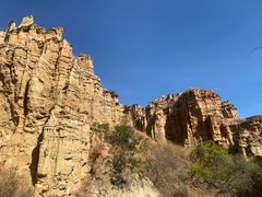 -元谋土林景区(物茂土林)