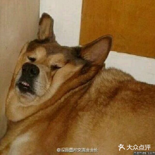 老长春肉馆(隆礼路店)图片