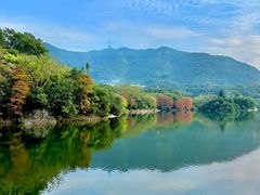 -深圳仙湖植物园