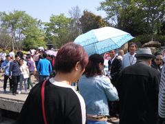 -巢湖姥山岛