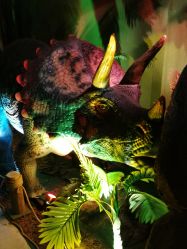 -恐龙探索乐园(磁器口店)