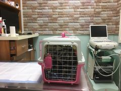 -纳吉亚猫专科动物医院博雅分院
