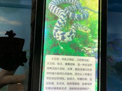 -石家庄极地海洋世界