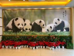 -成都驻京办餐厅(蜀都宾馆店)