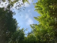 -森波拉火山温泉